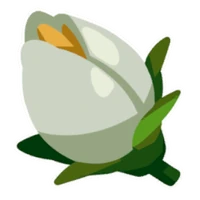 Fairy Flower Bud