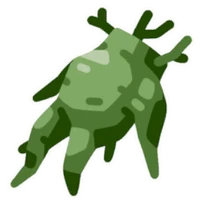 Mandrake Root